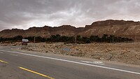 IMG_2520