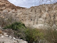 IMG_2525