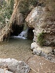 IMG_2545