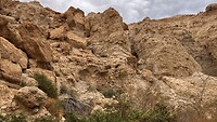 IMG_2523