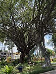 IMG_3081