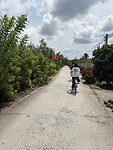 IMG_3196