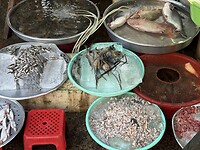 IMG_3282