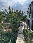 IMG_4733