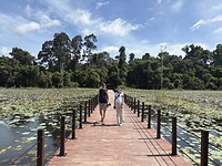 IMG_3980
