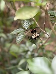 IMG_4308