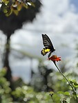IMG_4277