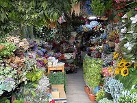 IMG_4392