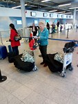 Eindhoven airport