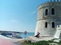 Torre