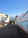IMG_3097