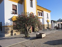 IMG_3098