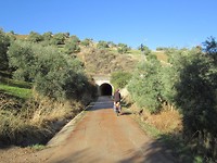 IMG_3100