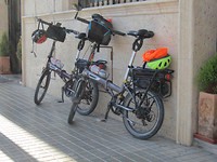 IMG_0789