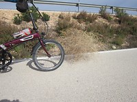 IMG_0739