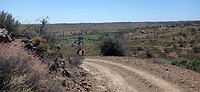 IMG_20230411_124244
