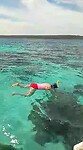 VID-20230505-WA0001
