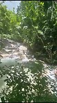 Dunn's Falls 2