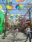 Umbrellastreet