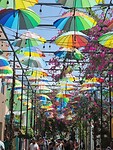 Umbrellastreet1