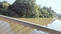 Op brug met fiets