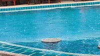 @ the pool met rain