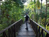 sepilok jungle resort