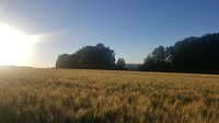 20180622_210042