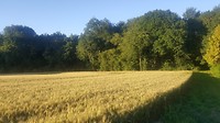 20180622_210016