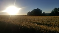 20180622_205956