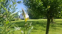 20180623_114205_001
