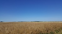 20180625_120751