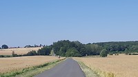20180626_113015_001
