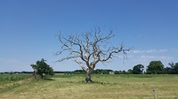 20180701_134806