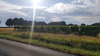 20180701_085205