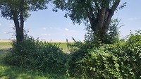 20180701_150822