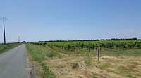 20180701_134822