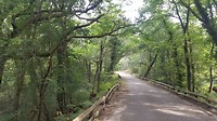 20180704_104833
