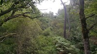 20180704_080727