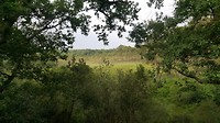 20180704_080709