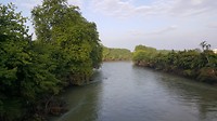 20180706_080347_001