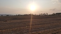 20180713_074054