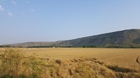 20180713_082316_001