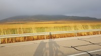 20180715_075535