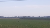 20180718_083848_001