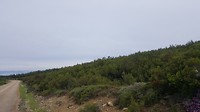 20180721_112144