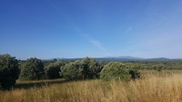 20180721_084344