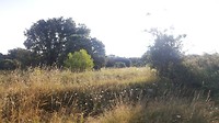 20180721_084401