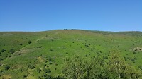 20180723_100526