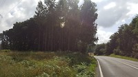 20180726_113106